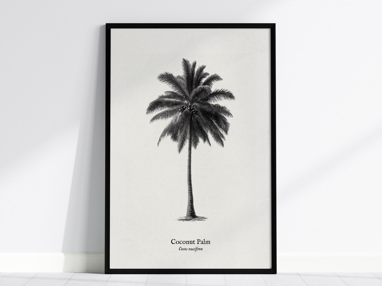 Feature 01 24X36