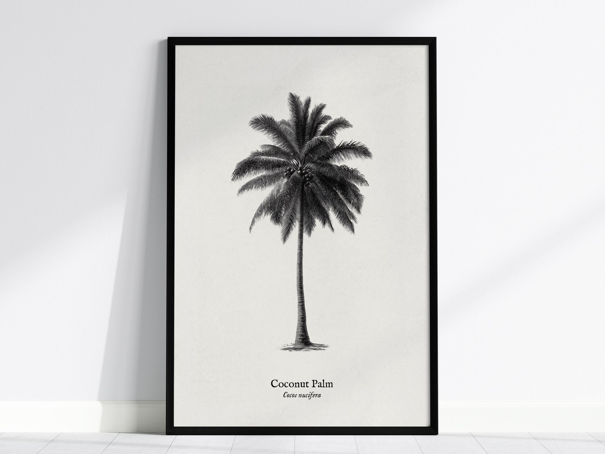 Feature 01 24X36