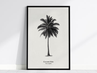 Feature 01 24X36