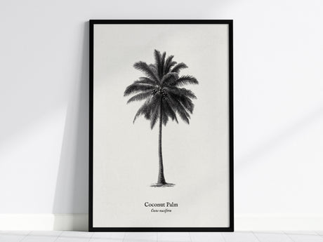 Feature 01 24X36
