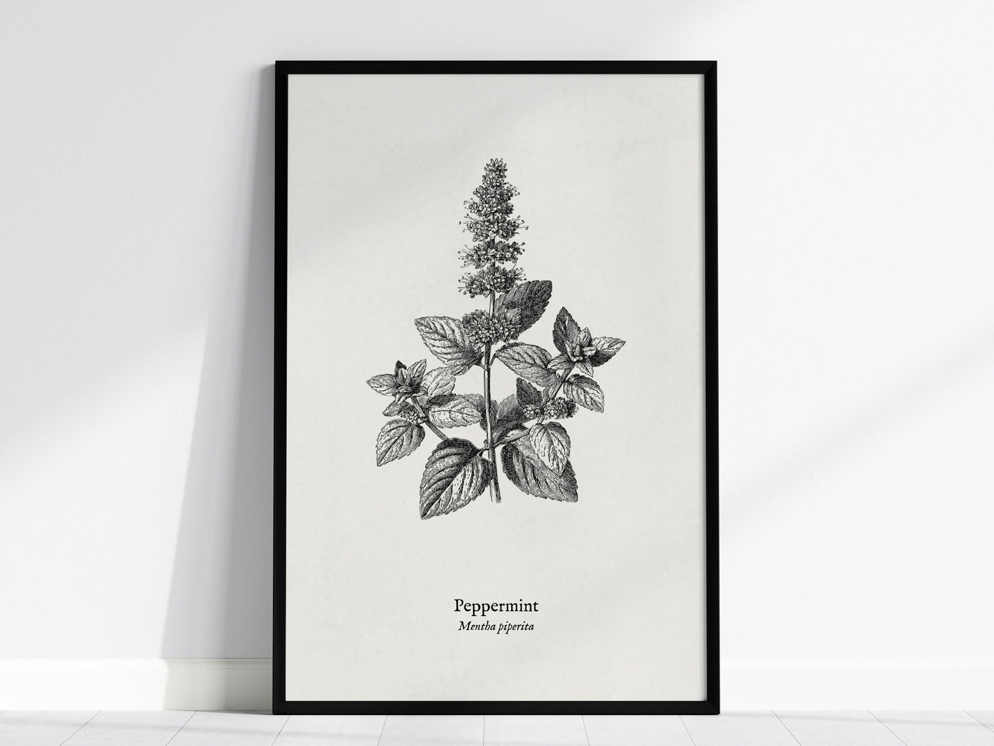 Peppermint Poster | Mentha piperita Vintage Botanical Ink Illustration Wall Art — framed wall art, 24x36 in