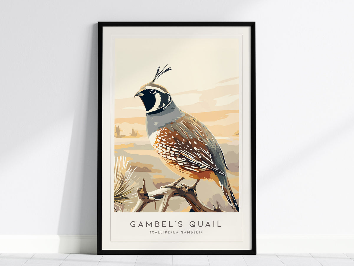 Gambel's Quail, Callipepla gambeli Poster | Desert Bird Wall Art Wildlife Print — framed wall art, 24x36 in