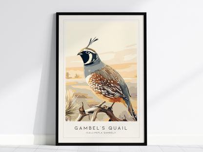 Gambel's Quail, Callipepla gambeli Poster | Desert Bird Wall Art Wildlife Print — framed wall art, 24x36 in