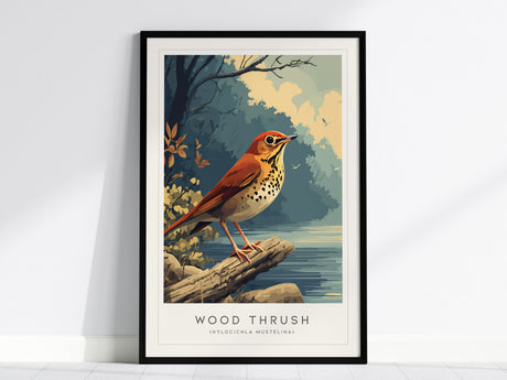 Wood Thrush Poster | Forest Songbird Nature Illustration Wall Art — framed wall art, 24x36 in
