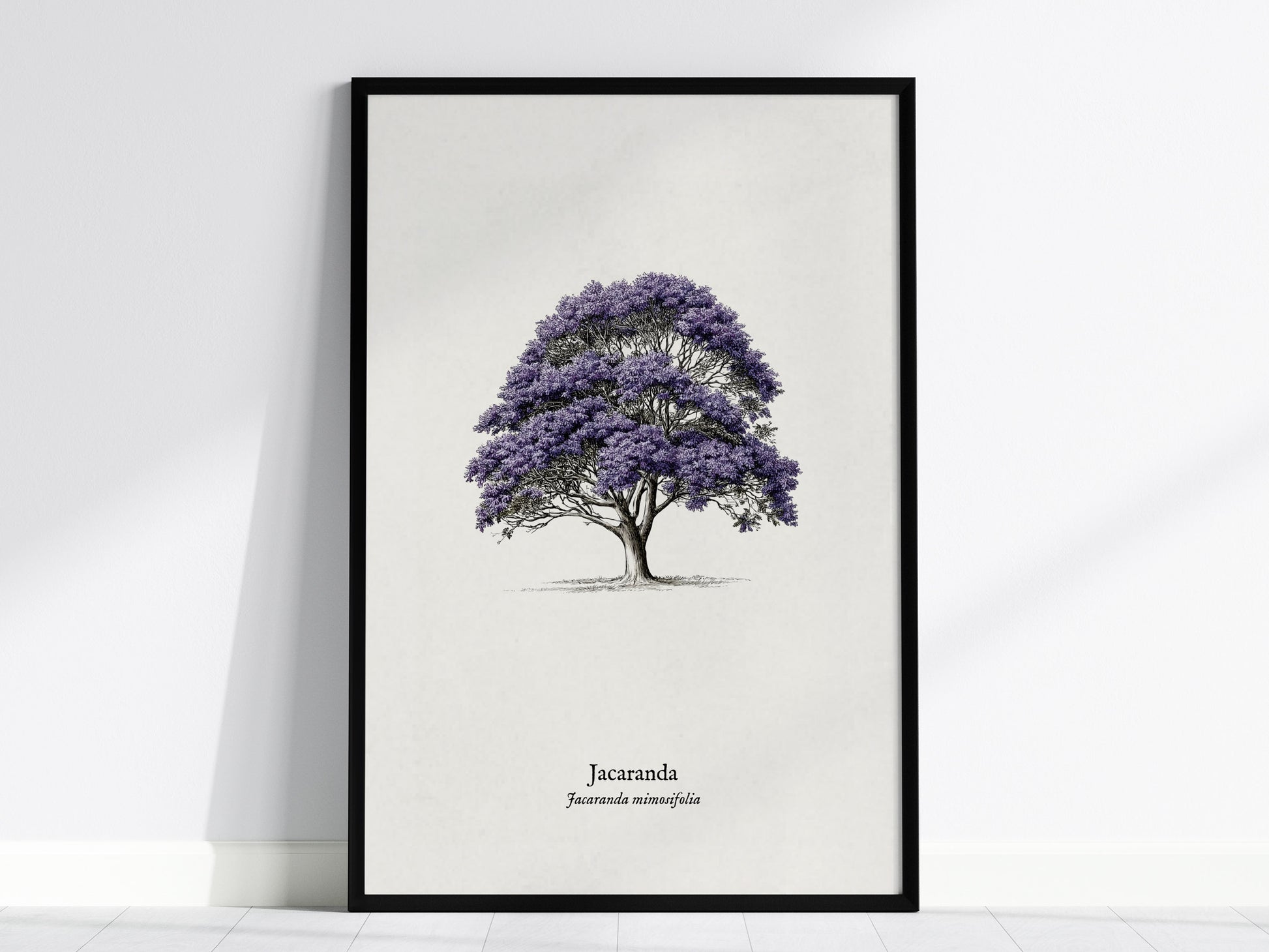 Jacaranda Poster | Vintage Jacaranda mimosifolia Botanical Illustration Wall Art — framed wall art, 24x36 in