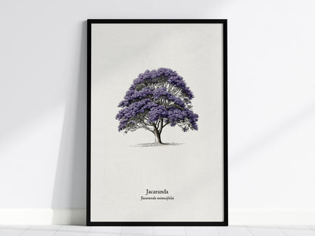 Jacaranda Poster | Vintage Jacaranda mimosifolia Botanical Illustration Wall Art — framed wall art, 24x36 in