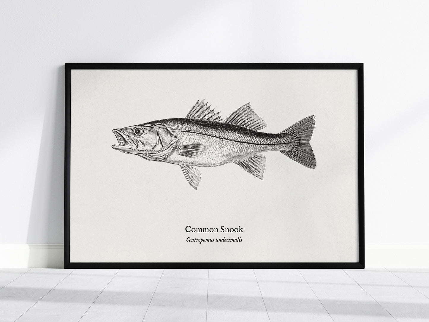 Common Snook Landscape Poster | Centropomus undecimalis Ink Illustration Zoological Wall Art — framed wall art, 24x36 in