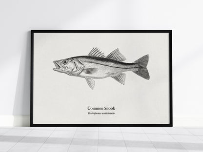 Common Snook Landscape Poster | Centropomus undecimalis Ink Illustration Zoological Wall Art — framed wall art, 24x36 in