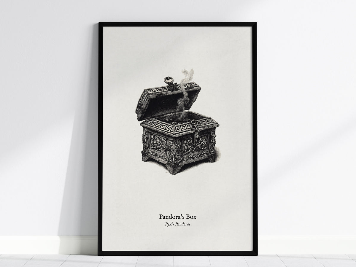Pandora's Box Poster | Pyxis Pandorae Pen and Ink Print Vintage Scientific Illustration Wall Art — framed wall art, 24x36 in