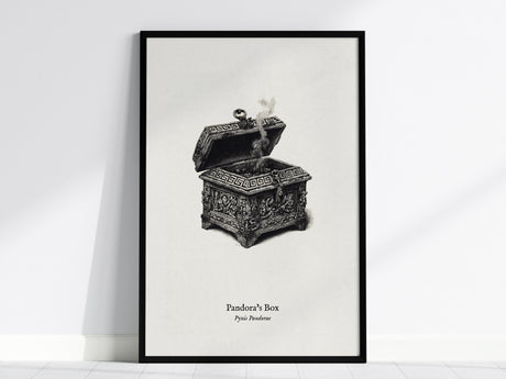 Pandora's Box Poster | Pyxis Pandorae Pen and Ink Print Vintage Scientific Illustration Wall Art — framed wall art, 24x36 in