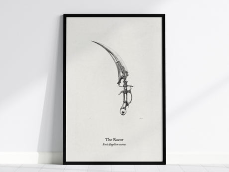 The Razor Poster | Ensis Flagellum Aureus Pen and Ink Print | Vintage Zoological Illustration Wall Art — framed wall art, 24x
