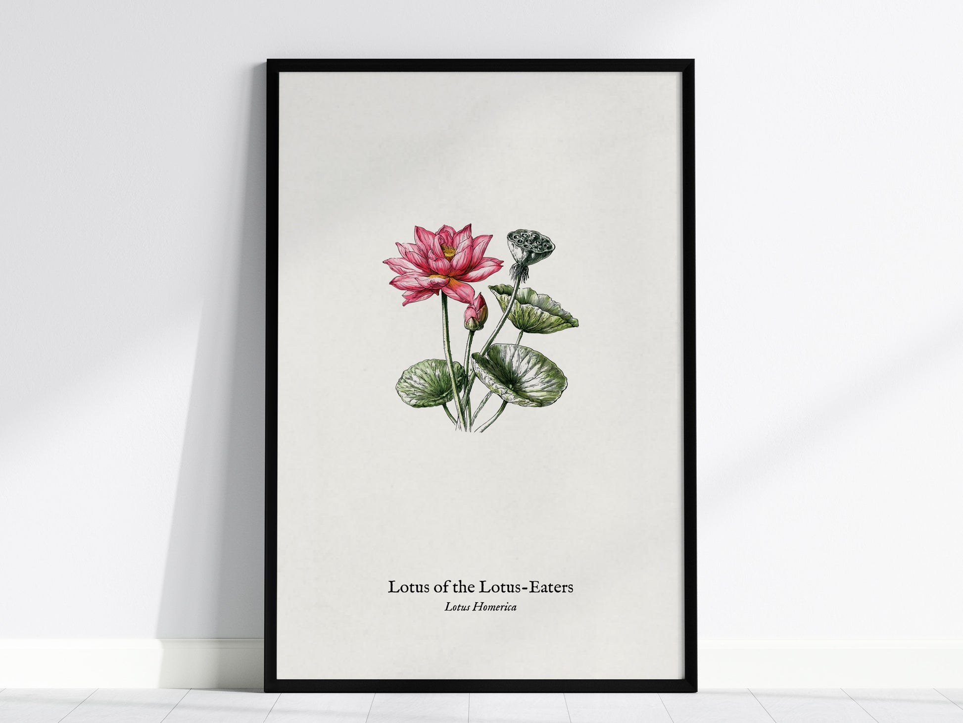 Lotus of the Lotus-Eaters Poster | Vintage Lotus Homerica Scientific Illustration Wall Art — framed wall art, 24x36 in