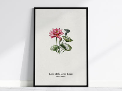 Lotus of the Lotus-Eaters Poster | Vintage Lotus Homerica Scientific Illustration Wall Art — framed wall art, 24x36 in