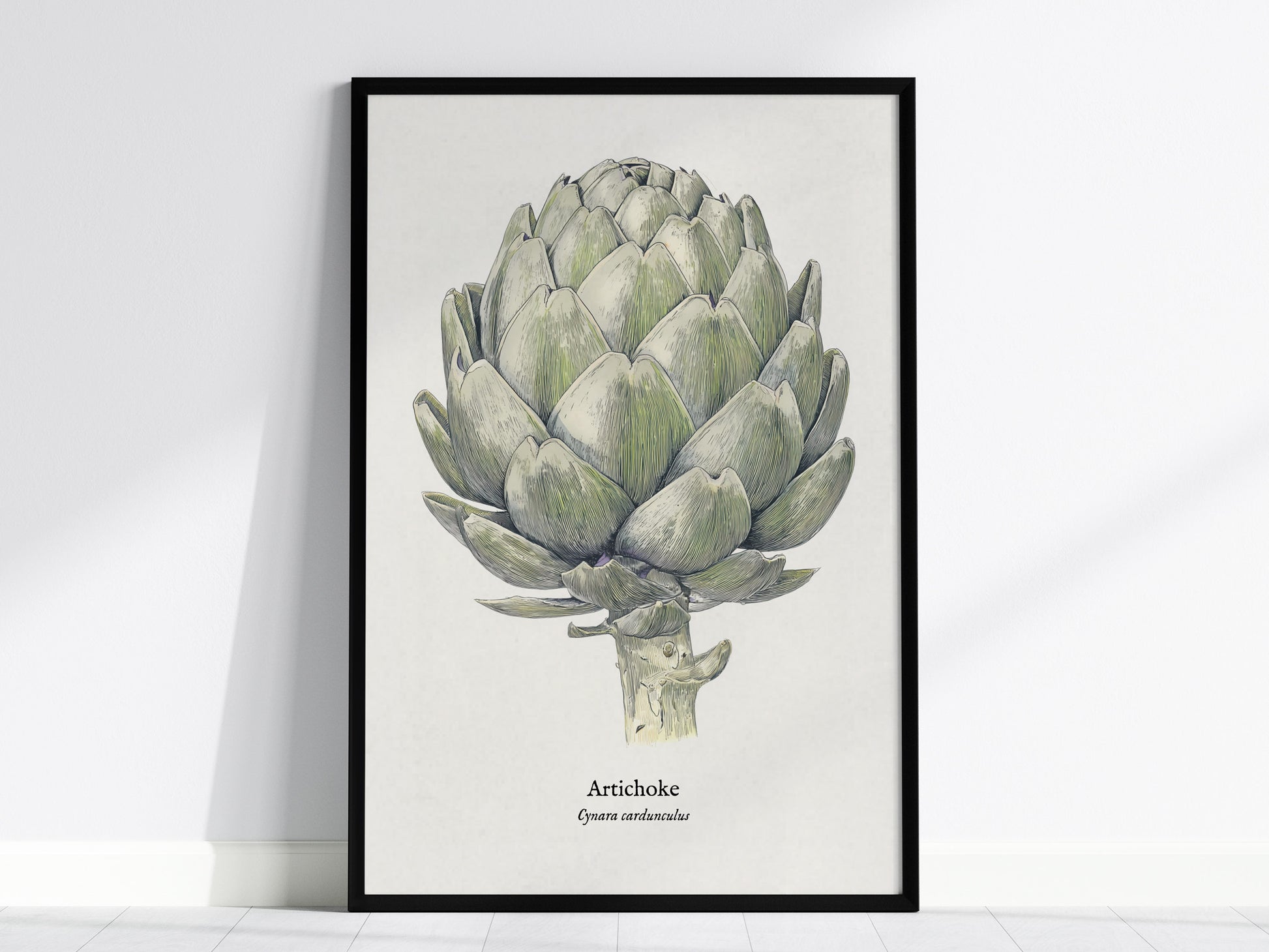 Artichoke Poster | Vintage Cynara Cardunculus Botanical Illustration Wall Art — framed wall art, 24x36 in