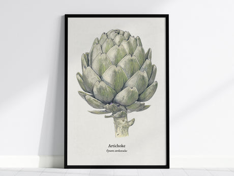 Artichoke Poster | Vintage Cynara Cardunculus Botanical Illustration Wall Art — framed wall art, 24x36 in