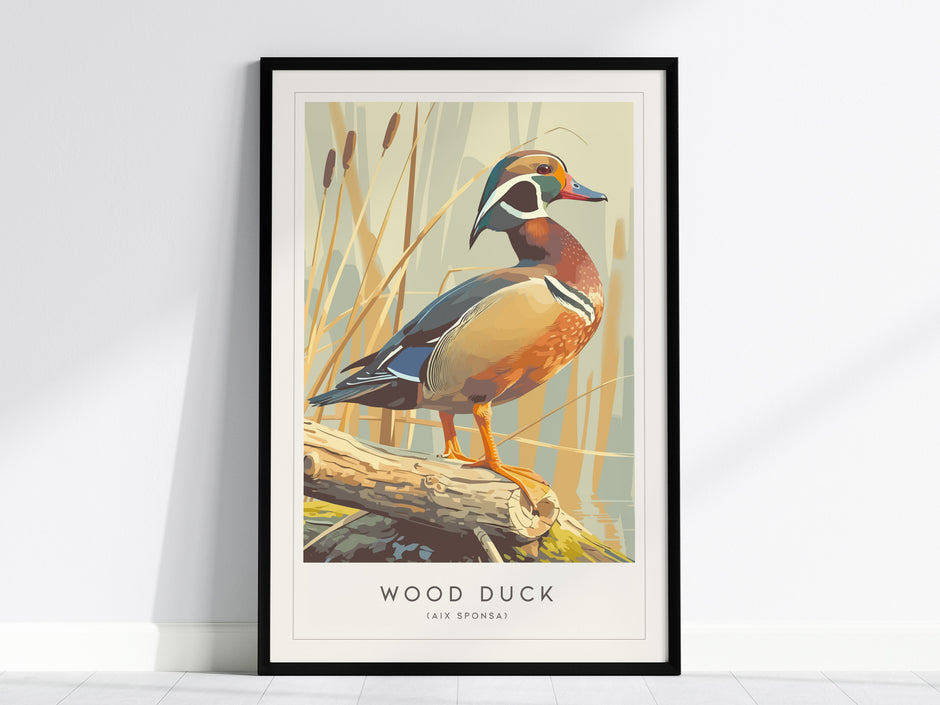 Stylized wood duck art print in earthy tones, showcasing detailed plumage and serene nature, perfect for wildlife art lovers.