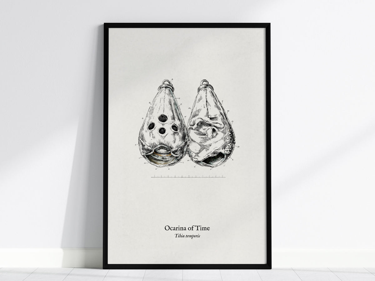 Ocarina of Time Poster | Tibia temporis Vintage Pen and Ink Print Scientific Illustration Wall Art — framed wall art, 24x36 i
