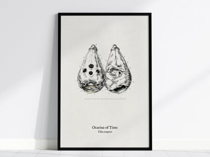Ocarina of Time Poster | Tibia temporis Vintage Pen and Ink Print Scientific Illustration Wall Art — framed wall art, 24x36 i