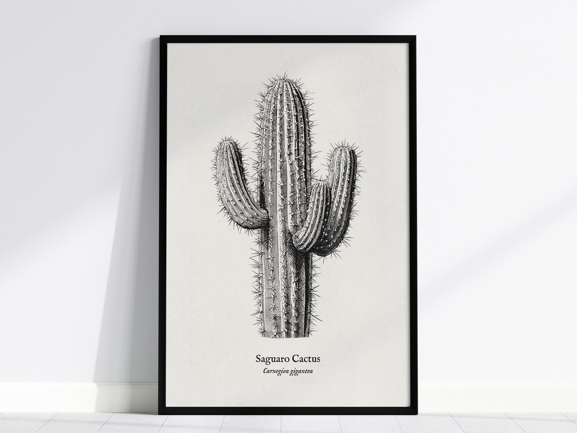 Saguaro Cactus Poster | Vintage Carnegiea gigantea Botanical Illustration Wall Art — framed wall art, 24x36 in