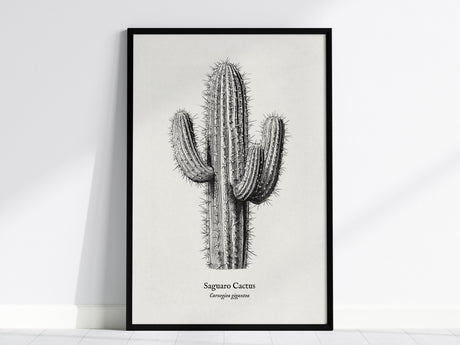 Saguaro Cactus Poster | Vintage Carnegiea gigantea Botanical Illustration Wall Art — framed wall art, 24x36 in