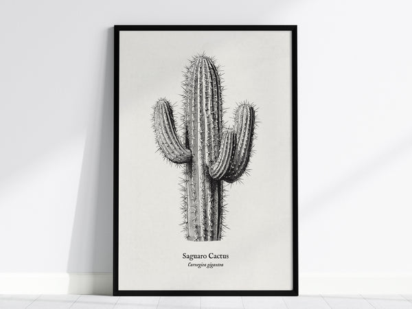 Saguaro Cactus Poster | Vintage Carnegiea gigantea Botanical Illustration Wall Art — framed wall art, 24x36 in