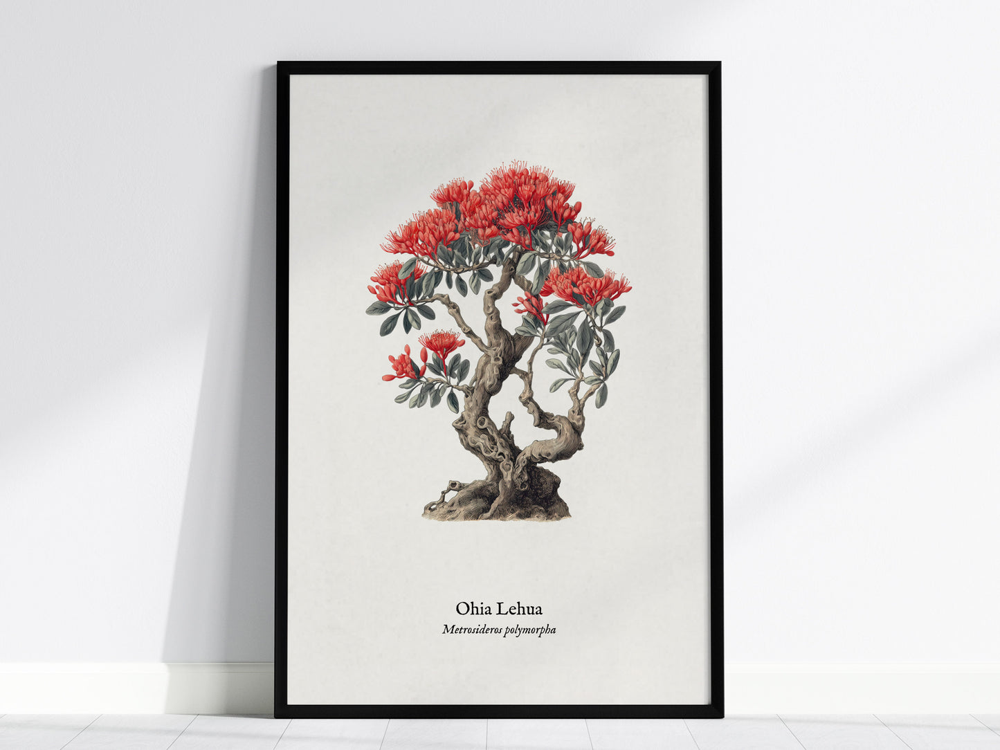 Ohia Lehua Poster | Vintage Metrosideros polymorpha Botanical Illustration Wall Art — framed wall art, 24x36 in
