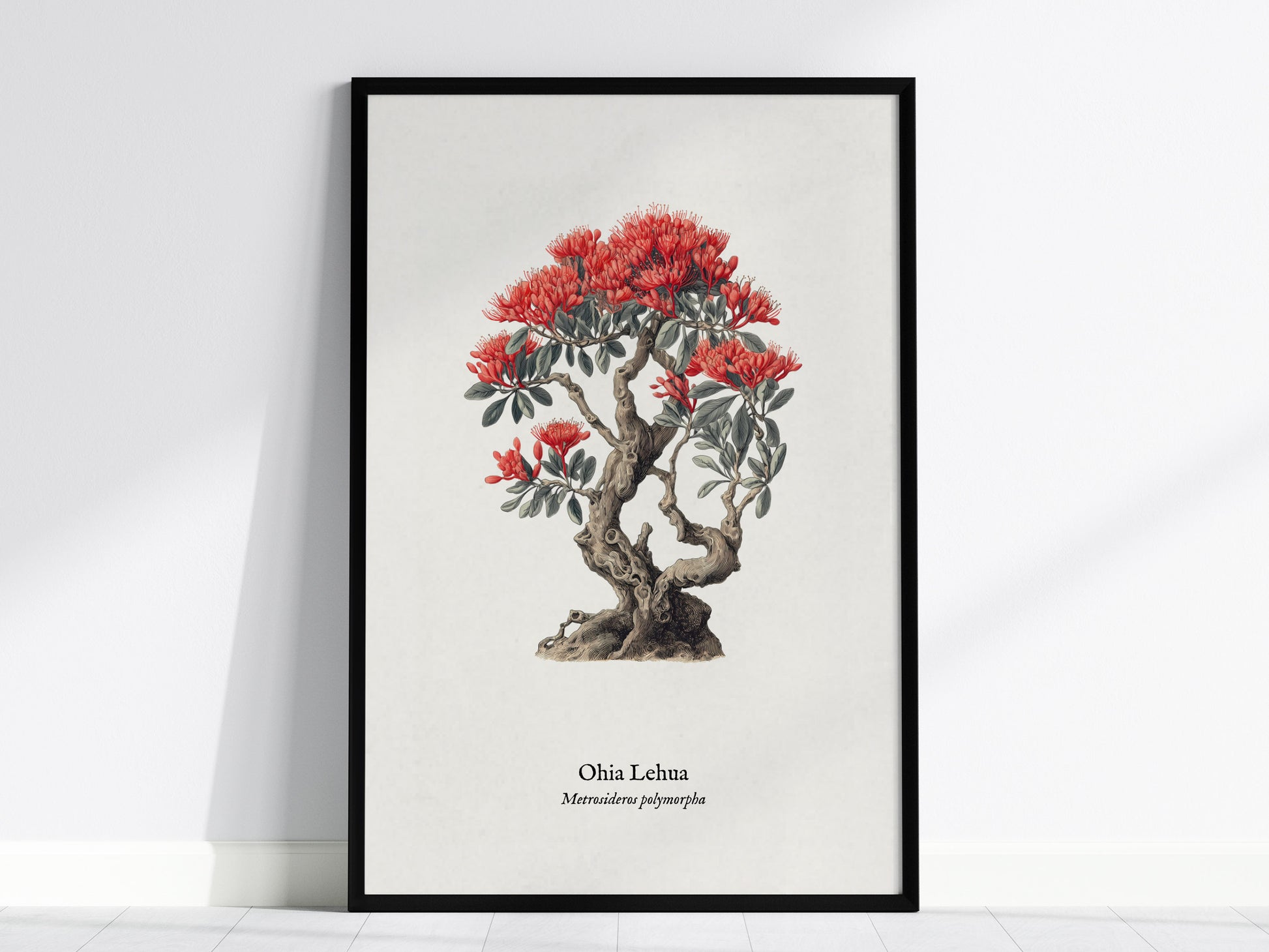 Ohia Lehua Poster | Vintage Metrosideros polymorpha Botanical Illustration Wall Art — framed wall art, 24x36 in