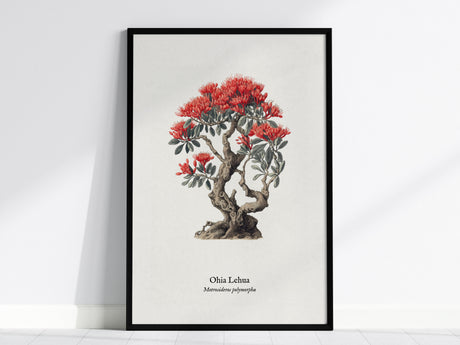 Ohia Lehua Poster | Vintage Metrosideros polymorpha Botanical Illustration Wall Art — framed wall art, 24x36 in
