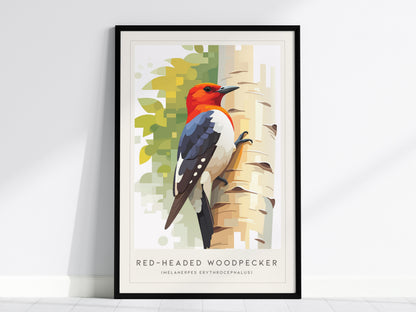 Red-headed Woodpecker, Melanerpes erythrocephalus Poster | Bold Bird Wall Art Nature Print — framed wall art, 24x36 in