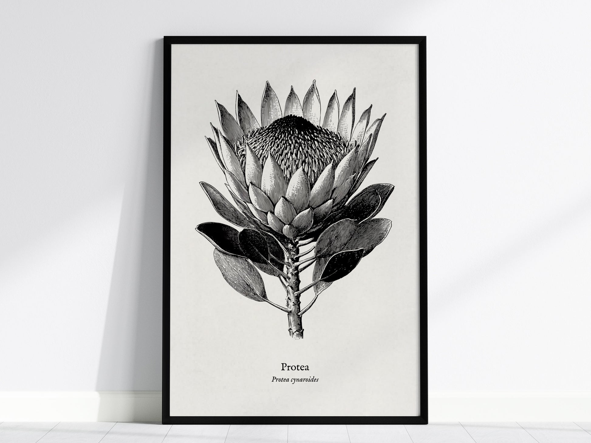 Feature 01 24X36