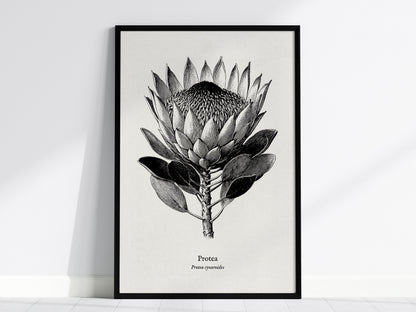 Feature 01 24X36