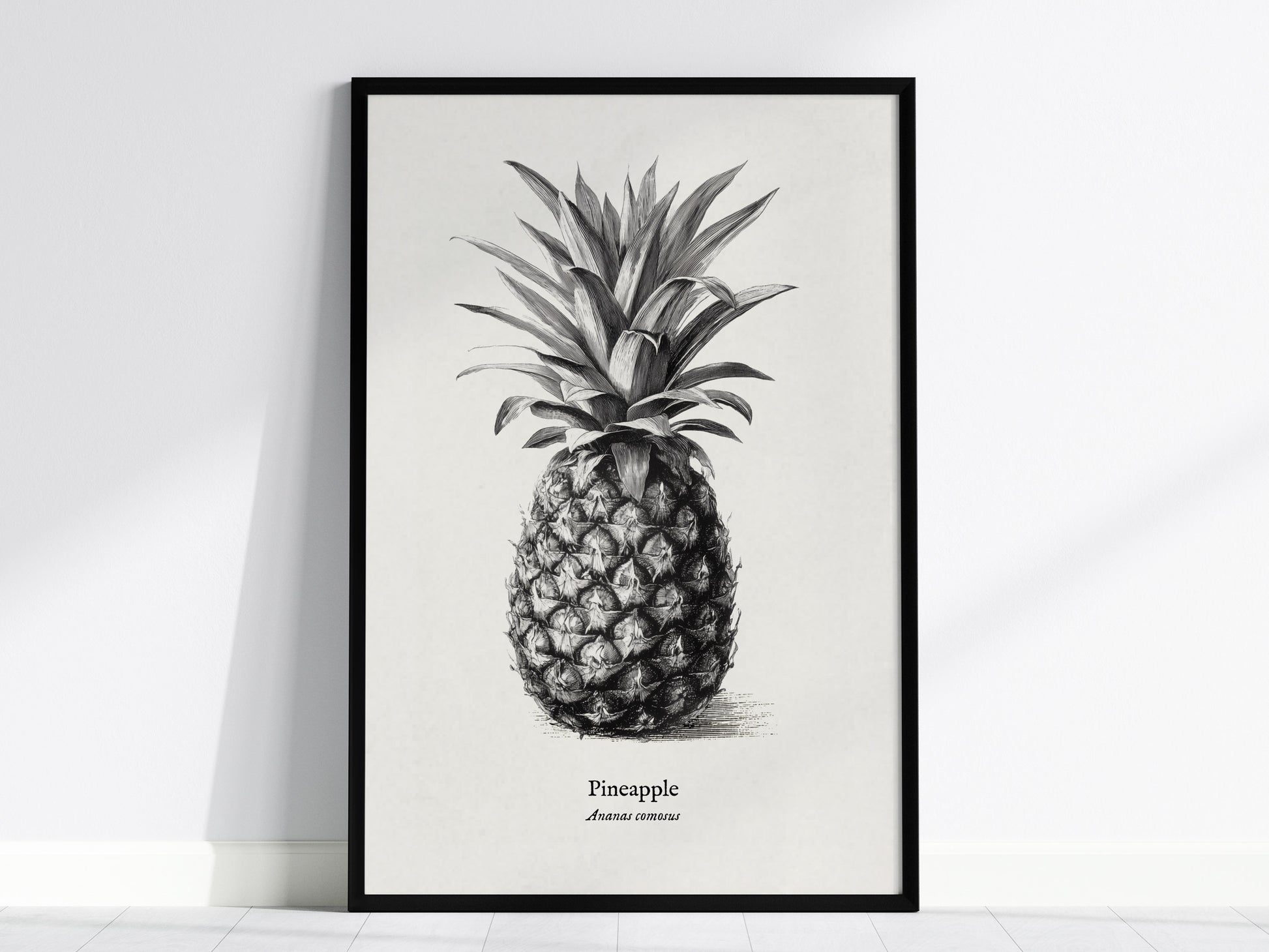 Feature 01 24X36