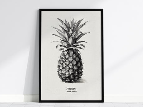Feature 01 24X36