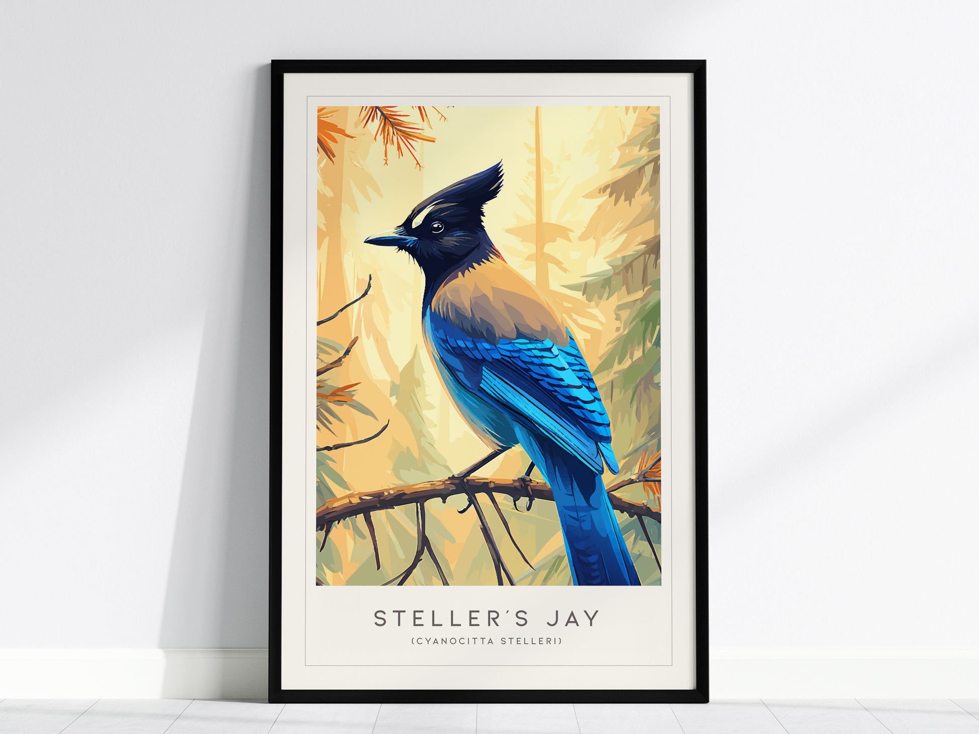 Steller's Jay, Cyanocitta stelleri Poster | Bold Mountain Bird Wall Art — framed wall art, 24x36 in