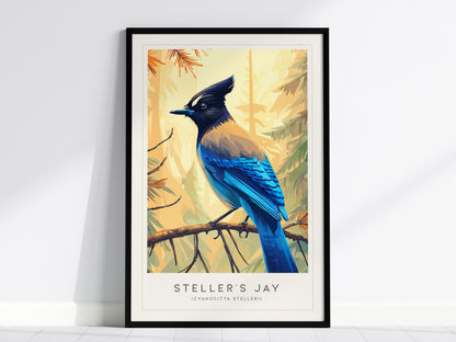 Steller's Jay, Cyanocitta stelleri Poster | Bold Mountain Bird Wall Art — framed wall art, 24x36 in