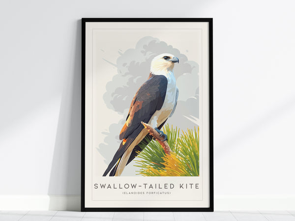 A framed poster of a swallow-tailed kite perched on a branch, showcasing its striking white and dark feathers. The illustration features a soft, cloudy background with vibrant greenery, highlighting the birds elegant appearance.