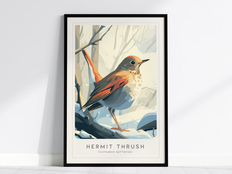 Hermit Thrush Poster | Woodland Songbird Forest Art Wall Art — framed wall art, 24x36 in