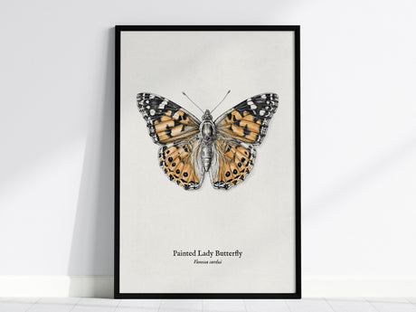 Painted Lady Butterfly Poster | Vintage Vanessa cardui Zoological Illustration Wall Art — framed wall art, 24x36 in