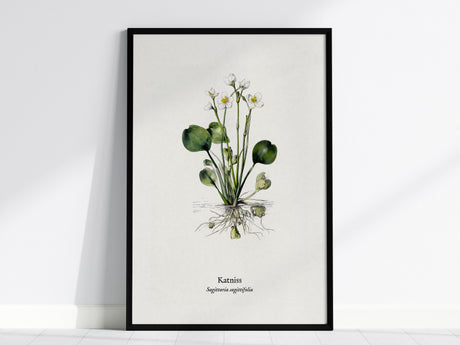 Katniss Poster | Sagittaria sagittifolia Pen and Ink Print | Vintage Botanical Illustration Wall Art — framed wall art, 24x36