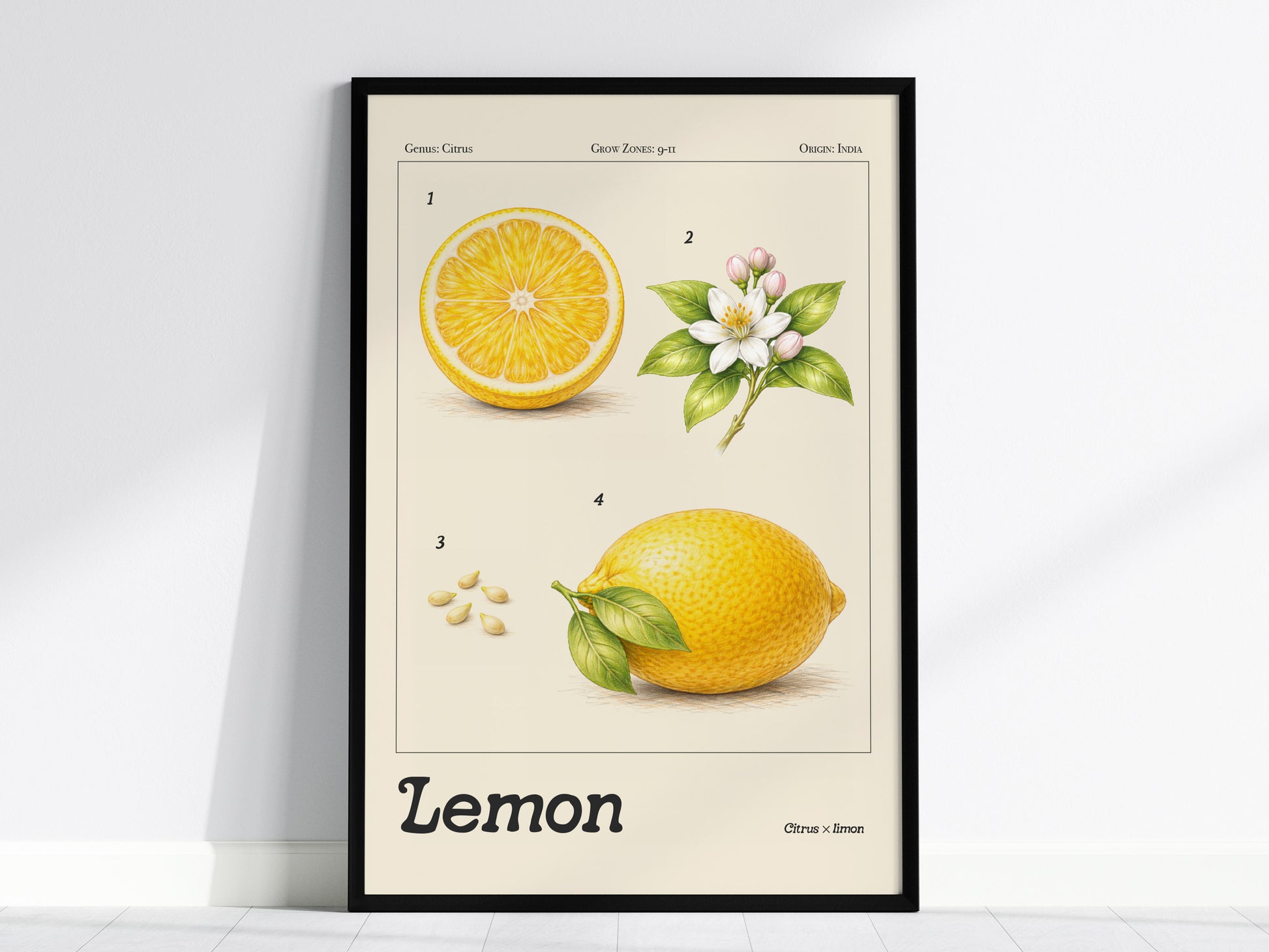 Framed botanical lemon poster featuring vibrant yellow lemons, white flowers, and green leaves, perfect for space art enthusiasts.
