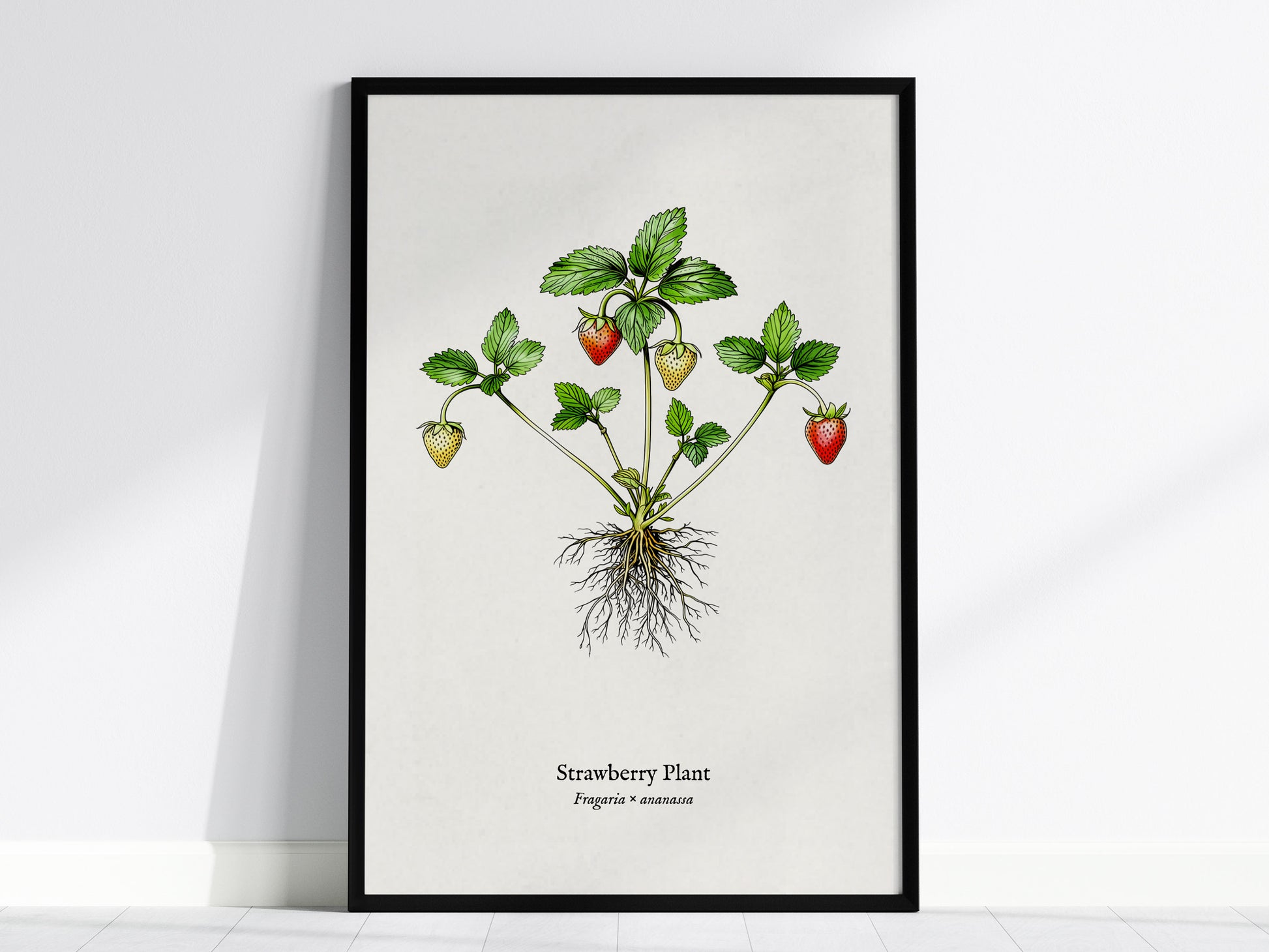 Strawberry Plant Poster | Vintage Fragaria × ananassa Botanical Illustration Wall Art — framed wall art, 24x36 in