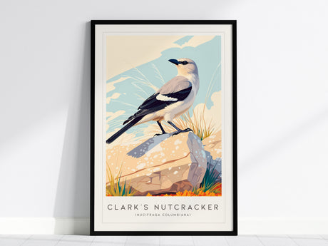 Clark's Nutcracker, Nucifraga columbiana Poster | Mountain Bird Wildlife Print Wall Art — framed wall art, 24x36 in