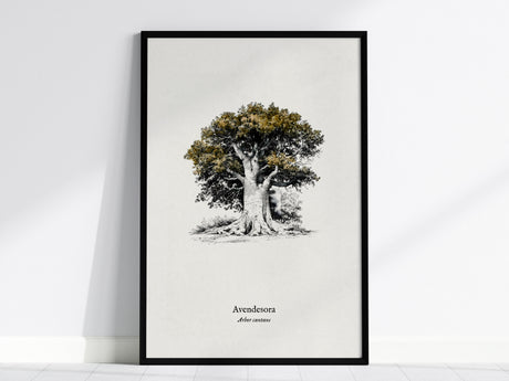 Avendesora Poster | Arbor Cantans Pen and Ink Print | Vintage Botanical Illustration Wall Art — framed wall art, 24x36 in