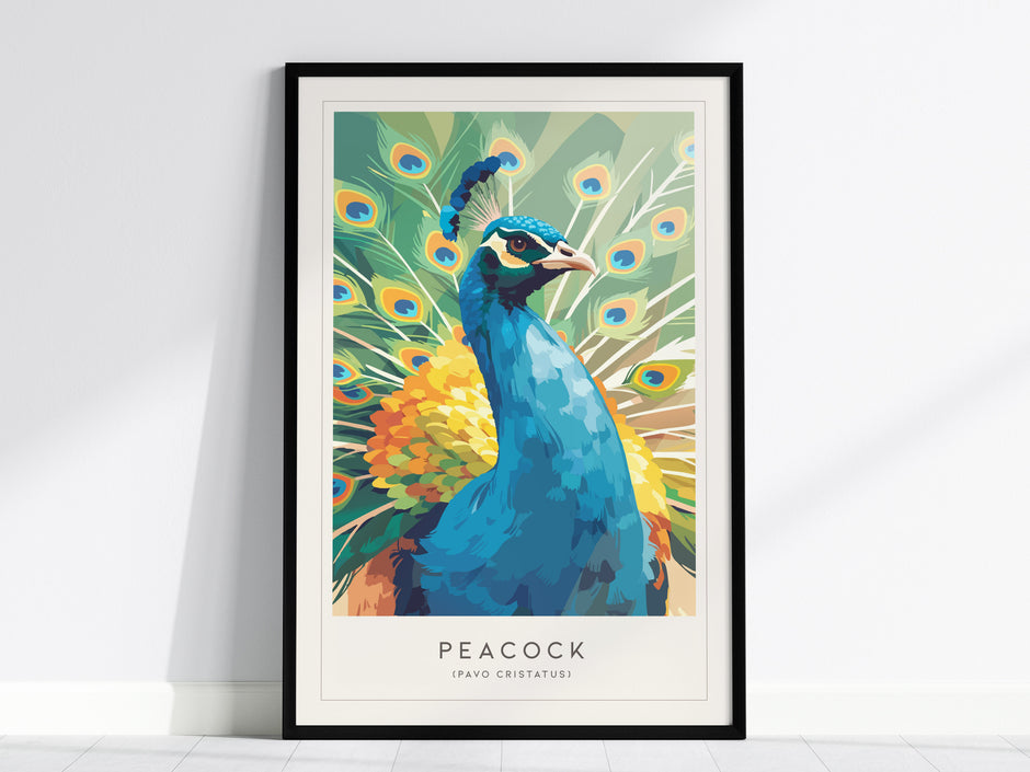 Vibrant peacock art print by Swell Scenes, showcasing colorful plumage in bold blues and greens, perfect for wildlife art lovers.