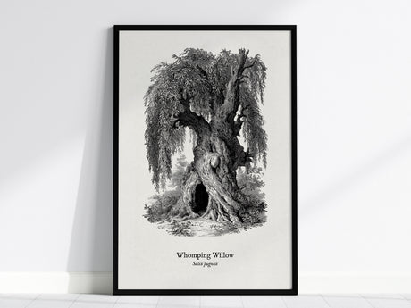 Feature 01 24X36