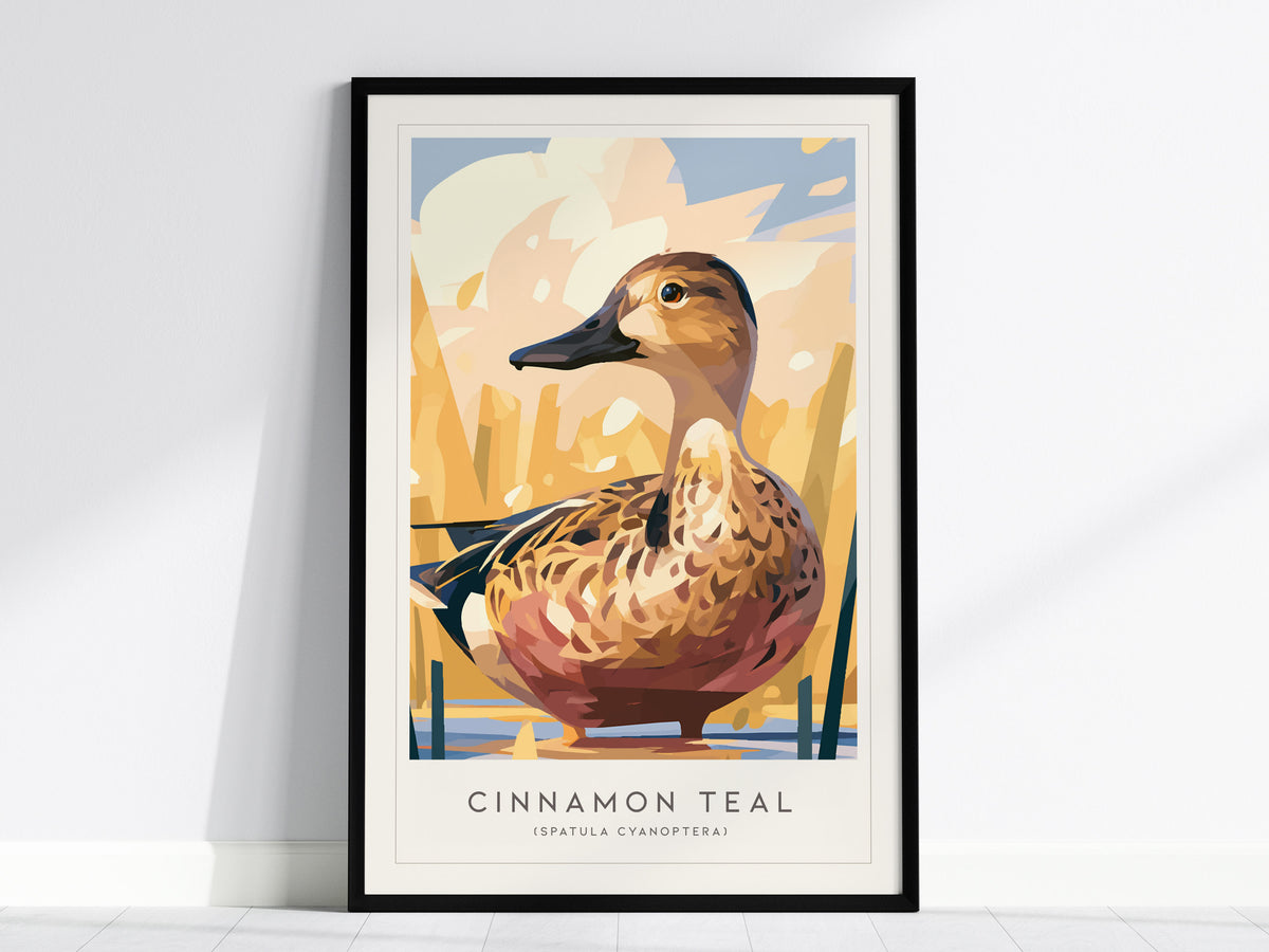 Cinnamon Teal, Spatula cyanoptera Poster | Vibrant Wetland Bird Wall Art — framed wall art, 24x36 in