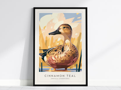 Cinnamon Teal, Spatula cyanoptera Poster | Vibrant Wetland Bird Wall Art — framed wall art, 24x36 in