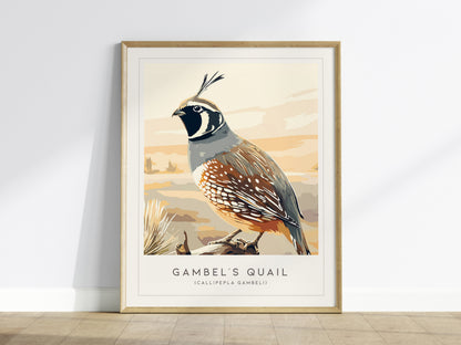 Gambel's Quail, Callipepla gambeli Poster | Desert Bird Wall Art Wildlife Print — framed wall art