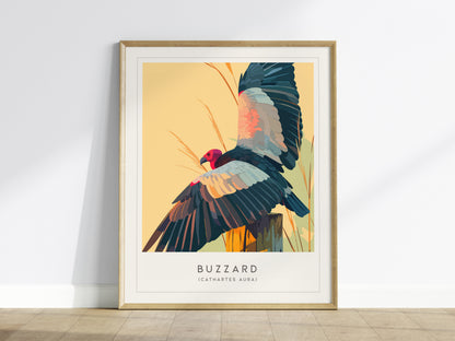Buzzard, Cathartes aura Poster | Turkey Vulture Bird Wall Art — framed wall art