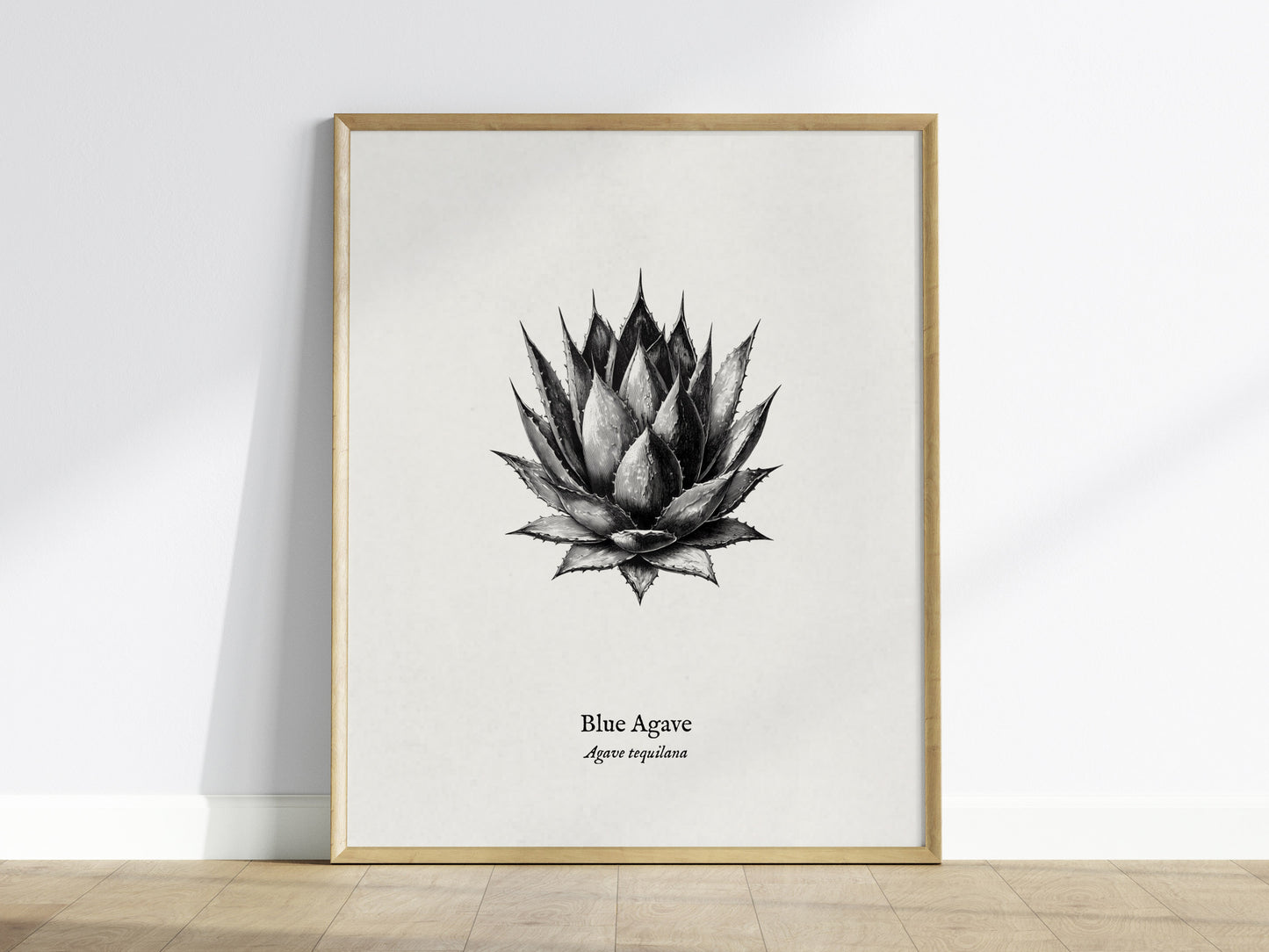Blue Agave Poster | Vintage Agave Tequilana Botanical Illustration Wall Art — framed wall art